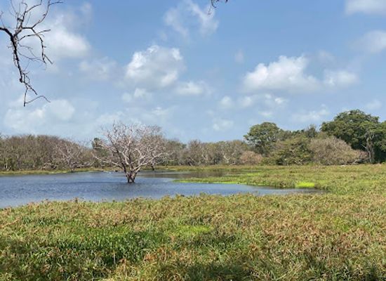 sri-lanka/puttalam-district/landmark/anawilundawa-bird-sanctuary