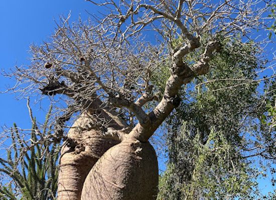 madagascar/ifaty/landmark/le-village-des-tortues