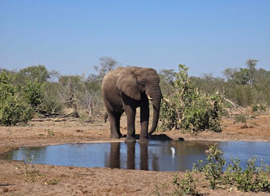 botswana/nxai-pan-national-park/landmark/makgadikgadi-pans-national-park