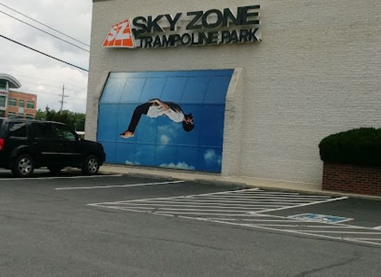 maryland/waldorf/landmark/sky-zone-trampoline-park