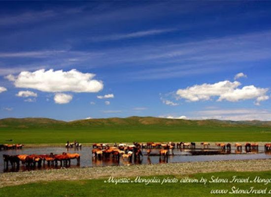 mongolia/lake-khovsgol/landmark/selena-travel