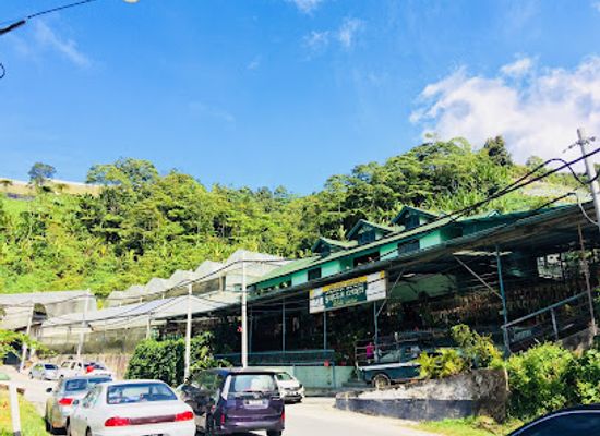 malaysia/cameron-highlands/landmark/butterfly-garden