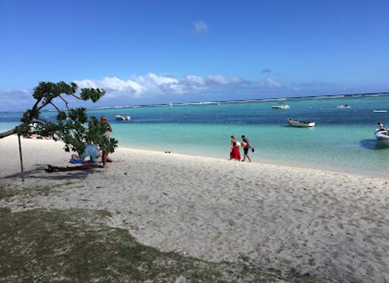 mauritius/flic-en-flac/landmark/italy-tour-blue-coral-tour