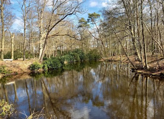netherlands/gooi/landmark/goois-natuurreservaat-spanderswoud