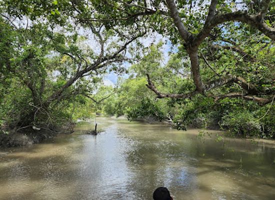 bangladesh/sundarbans/landmark/gol-kanon-eco-resort