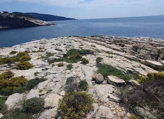 turkiye/thrace/landmark/thracian-sea