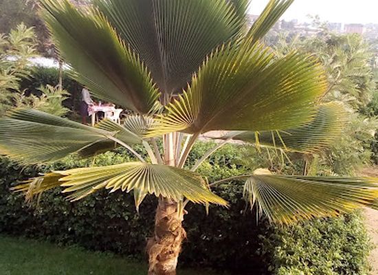uganda/mbarara/landmark/night-out-suites-mbarara