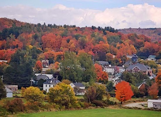 vermont/orleans-county/landmark/barton-fair