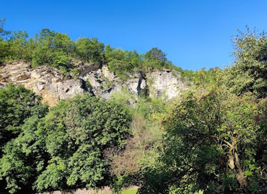 hungary/central-hungary/landmark/palvolgyi-cave