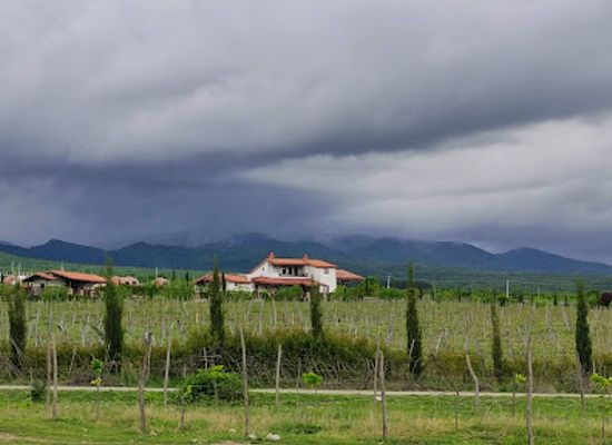georgia/telavi/landmark/shalauri-wine-cellar