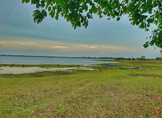 sri-lanka/up-country/landmark/illuppaiyad
