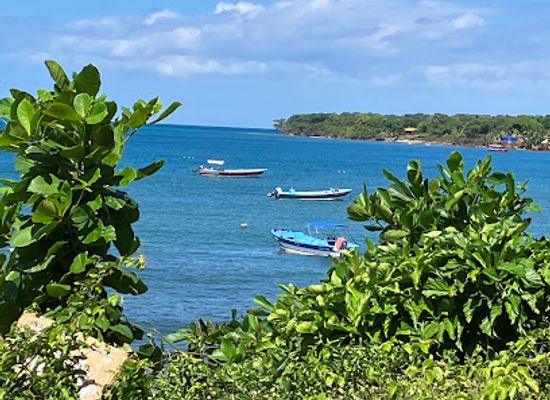 nicaragua/south-caribbean-coast-autonomous-region/landmark/melissa-s-restaurant