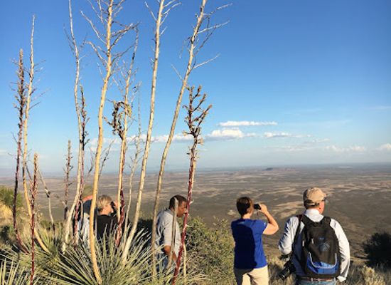 new-mexico/las-cruces/landmark/southwest-expeditions-llc
