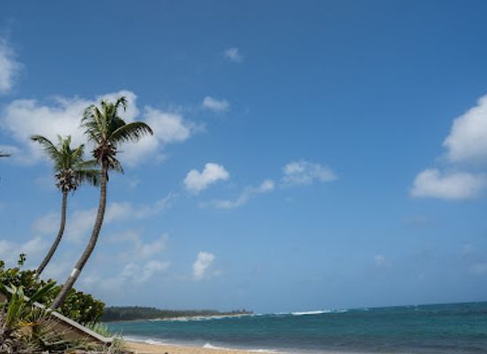 puerto-rico/isabela/landmark/playa-shacks