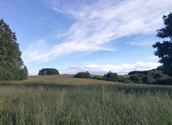 lithuania/samogitia/landmark/stupkalnis