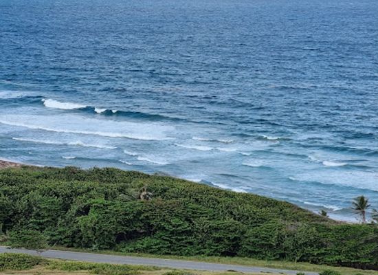 barbados/east-coast/landmark/barclays-park