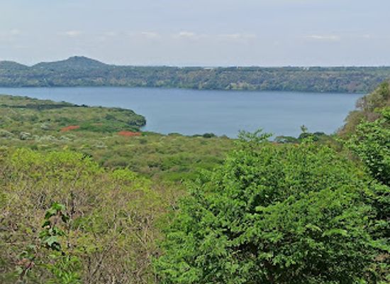 nicaragua/masaya/landmark/flor-de-pochote
