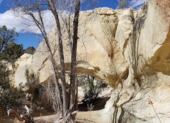 utah/colorado-plateau/landmark/covered-wagon-bridge