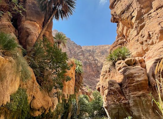 jordan/tafilah/landmark/wadi-ghuweir