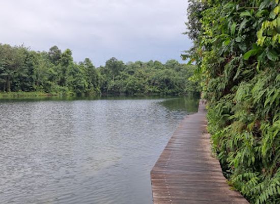 singapore/ang-mo-kio/landmark/lower-peirce-trail-casuarina-entrance