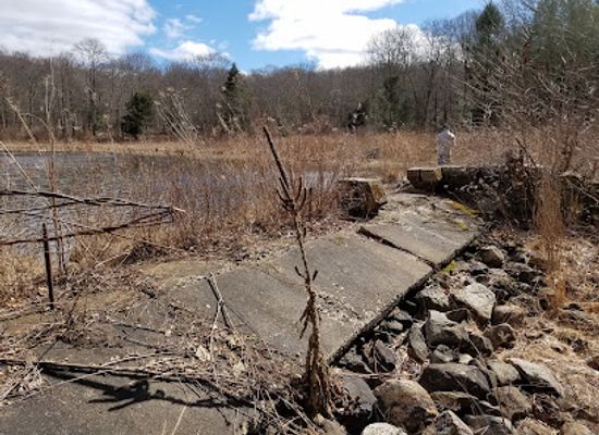 connecticut/the-quiet-corner/landmark/trolley-bed-preserve