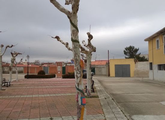 spain/castile-and-leon/landmark/alcazaren-camino-de-santiago-de-madrid