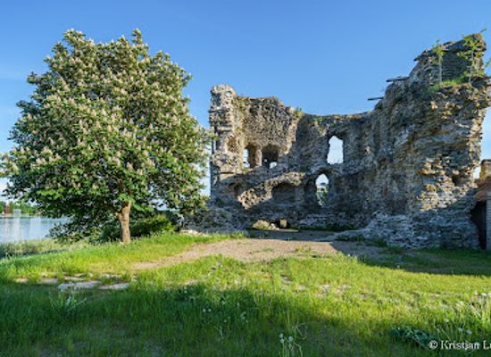 estonia/ida-viru-county/landmark/vasknarva-ruins