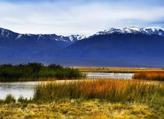 mongolia/lake-khovsgol/landmark/khar-us-lake