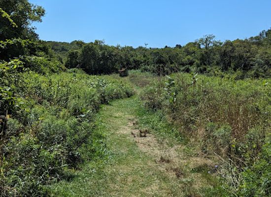 rhode-island/block-island/landmark/nathan-mott-park