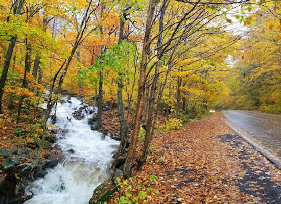 vermont/smugglers-notch-state-park/landmark/smugglers-notch-state-park-campground
