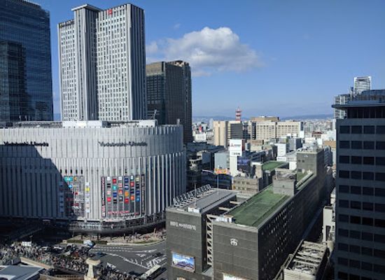 japan/osaka/umeda/landmark/shin-umeda-shokudogai-street