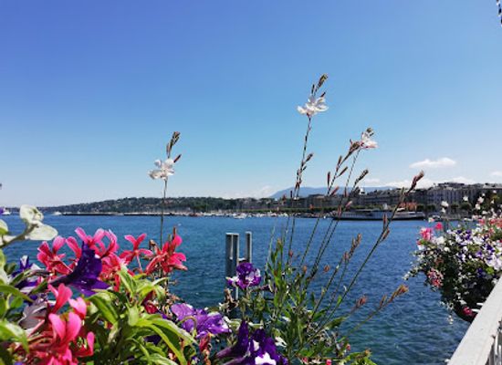 switzerland/lake-geneva-region/landmark/promenade-de-l-observatoire