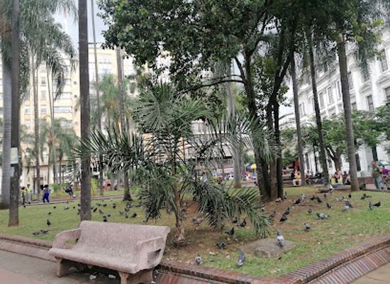 colombia/cali/landmark/plaza-de-caicedo