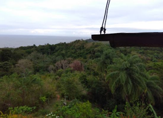 trinidad-and-tobago/tobago/landmark/corbin-local-wildlife