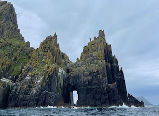 ireland/dingle/landmark/blasket-island-sea-life-tours