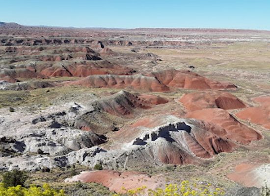 arizona/petrified-forest-national-park/landmark/painted-desert-inn