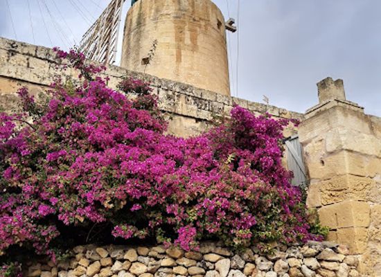 malta/mgarr-ix-xini/landmark/ta-kola-windmill