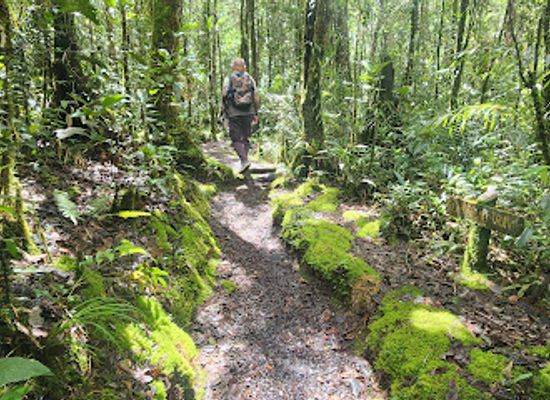 malaysia/kinabalu-national-park/landmark/silau-silau-trail