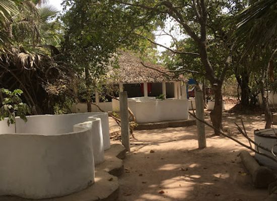 the-gambia/sandu/landmark/the-gambian-reptiles-farm