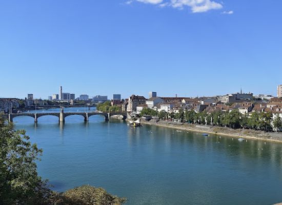 switzerland/basel/grossbasel/landmark/basler-pfalz
