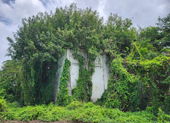 puerto-rico/vieques/landmark/abandoned-building
