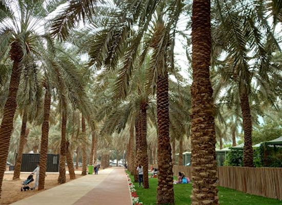 saudi-arabia/najd/landmark/najd-oasis-walkway
