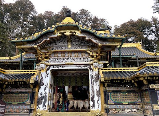 japan/nikko/landmark/osaru-land-animal-town-nikko-saru-gundan