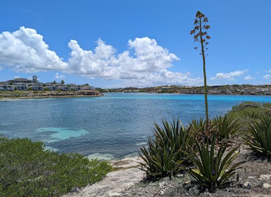 antigua-and-barbuda/valley-church-beach/landmark/devil-s-bridge-national-park