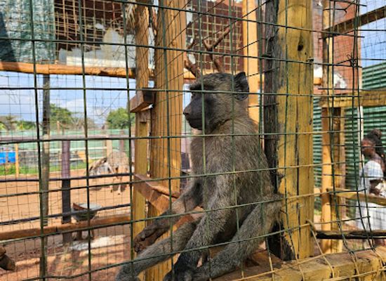 uganda/jinja/landmark/source-of-the-nile-reptile-park