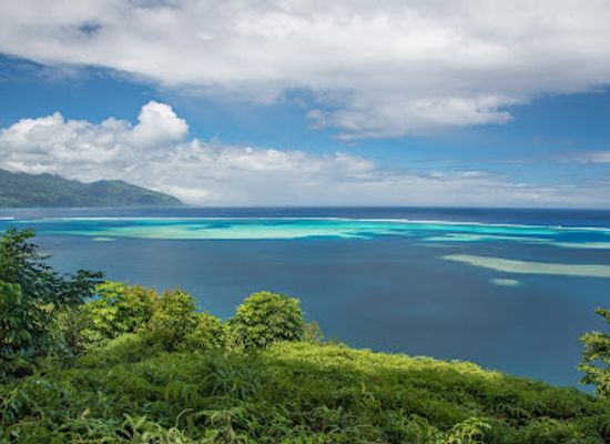 french-polynesia/windward-islands/landmark/water-gardens-vaipahi