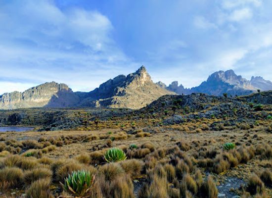 kenya/mount-kenya-national-park/landmark/point-lenana