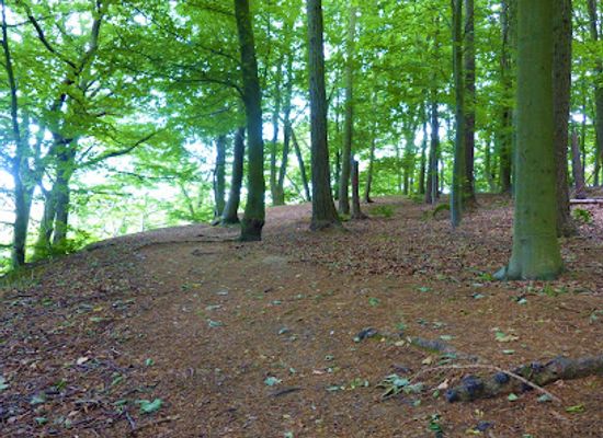 united-kingdom/durham/landmark/maiden-castle-earthwork