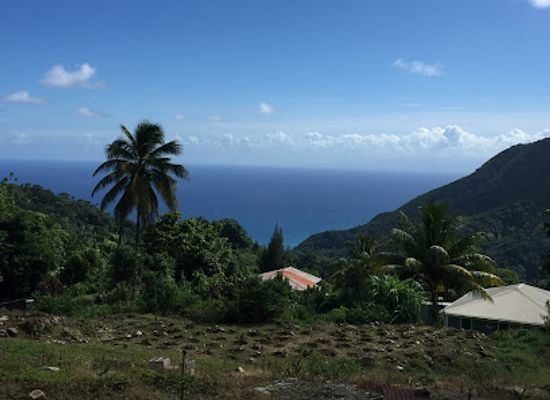 dominica/purple-turtle-beach/landmark/morne-trois-pitons-national-park