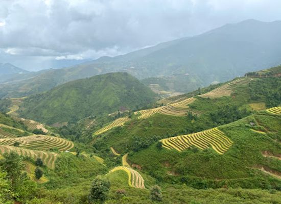 vietnam/northeast/landmark/ta-xua-nature-reserve